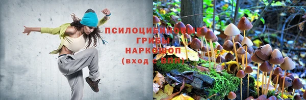 эйфоретик Зеленодольск