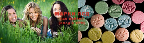 твердый Чекалин