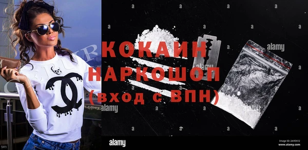мдпв Шадринск